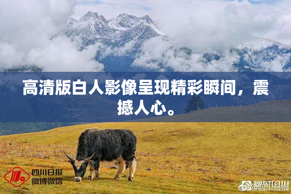 高清版白人影像呈现精彩瞬间，震撼人心。