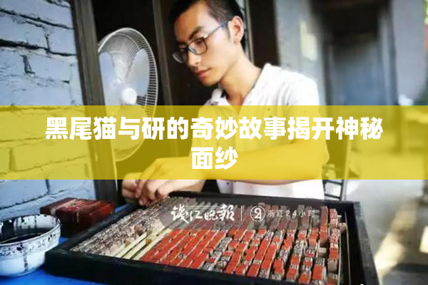 黑尾猫与研的奇妙故事揭开神秘面纱