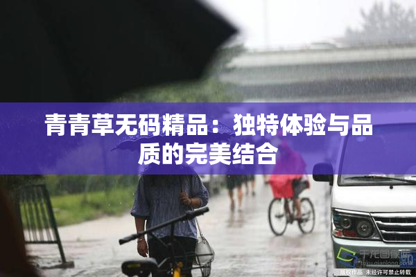 青青草无码精品：独特体验与品质的完美结合
