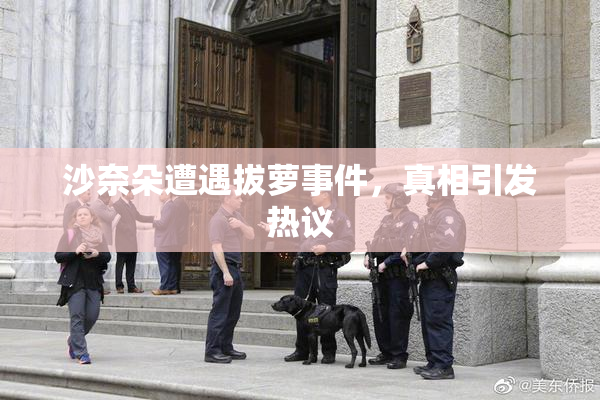沙奈朵遭遇拔萝事件，真相引发热议