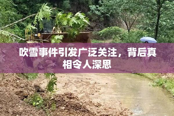 吹雪事件引发广泛关注，背后真相令人深思