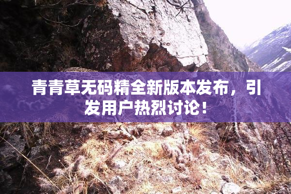 青青草无码精全新版本发布，引发用户热烈讨论！