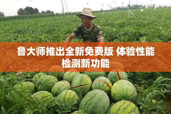 鲁大师推出全新免费版 体验性能检测新功能