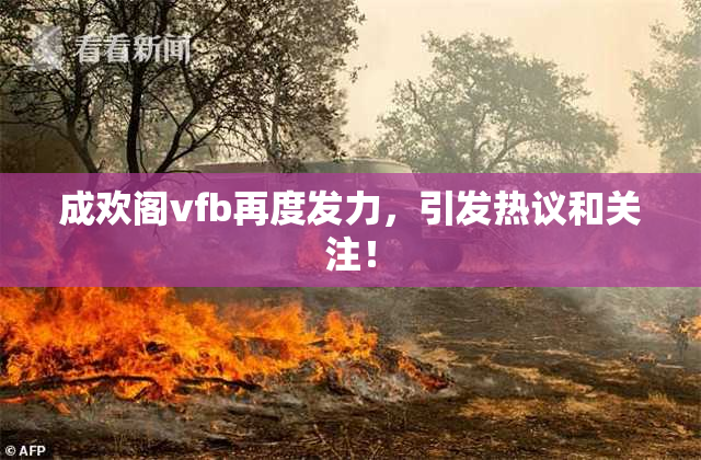 成欢阁vfb再度发力，引发热议和关注！