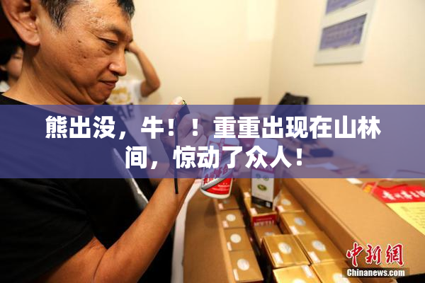 熊出没，牛！！重重出现在山林间，惊动了众人！