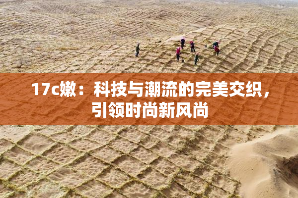 17c嫩：科技与潮流的完美交织，引领时尚新风尚