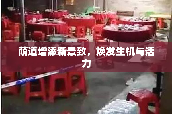 荫道增添新景致，焕发生机与活力