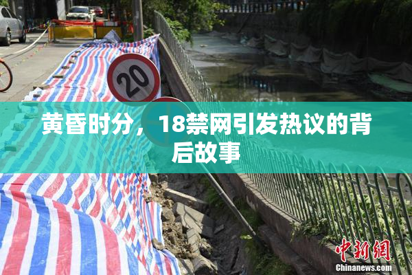 黄昏时分，18禁网引发热议的背后故事
