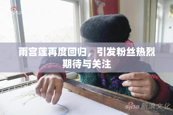 雨宫莲再度回归，引发粉丝热烈期待与关注