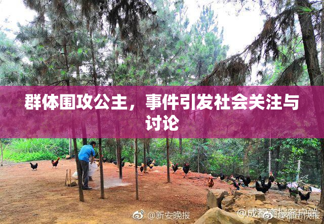 群体围攻公主，事件引发社会关注与讨论