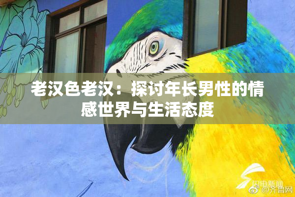 老汉色老汉：探讨年长男性的情感世界与生活态度