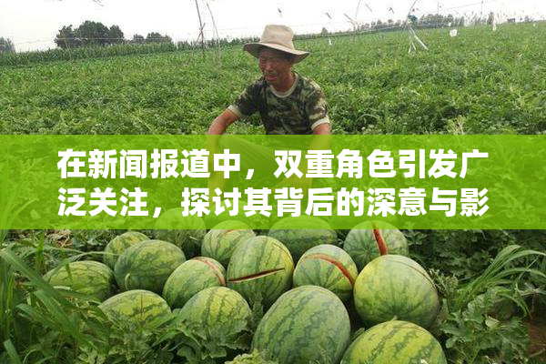 在新闻报道中，双重角色引发广泛关注，探讨其背后的深意与影响。