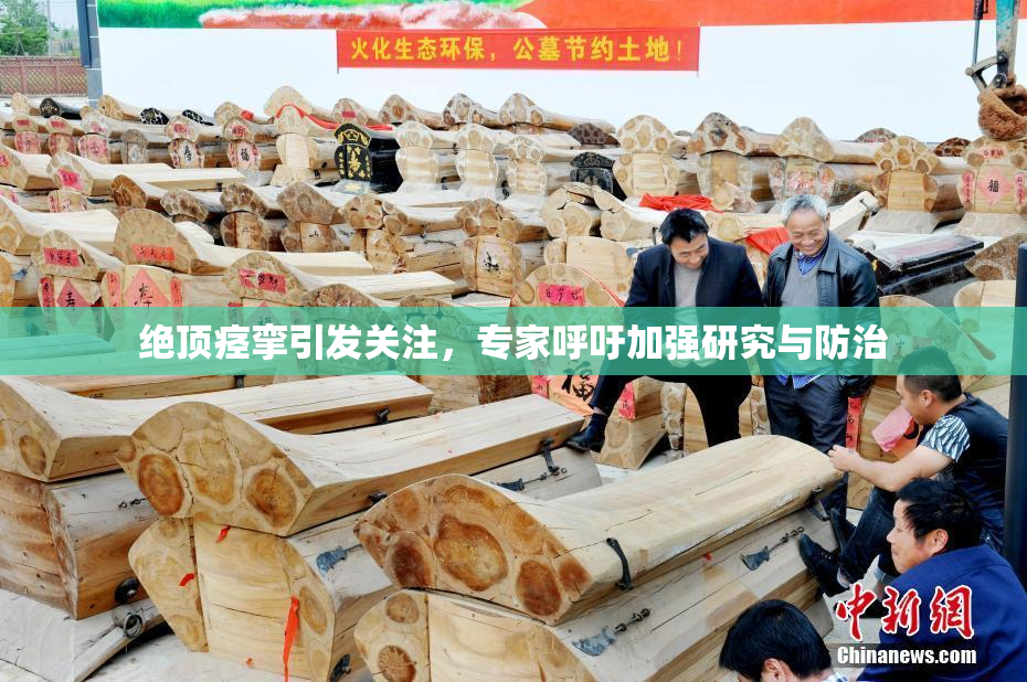 绝顶痉挛引发关注，专家呼吁加强研究与防治