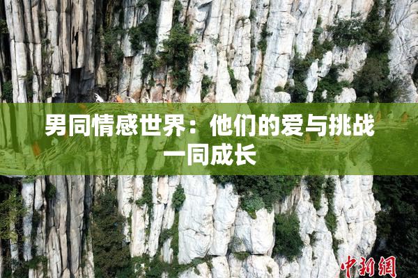 男同情感世界：他们的爱与挑战一同成长