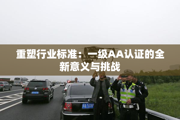 重塑行业标准：一级AA认证的全新意义与挑战