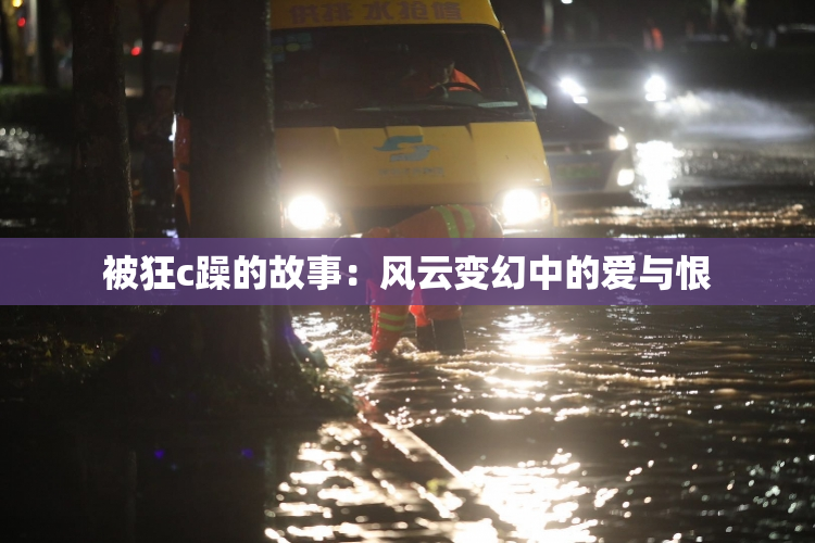被狂c躁的故事：风云变幻中的爱与恨