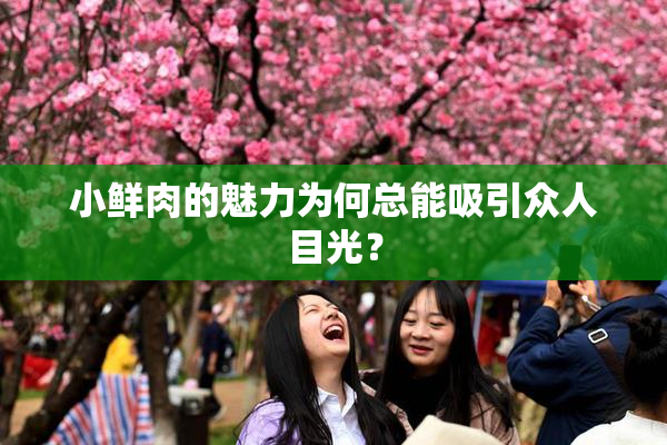 小鲜肉的魅力为何总能吸引众人目光？