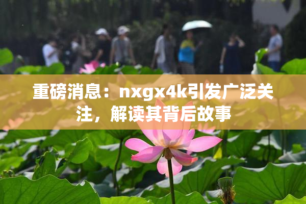 重磅消息：nxgx4k引发广泛关注，解读其背后故事