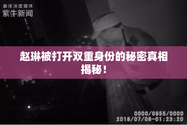 赵琳被打开双重身份的秘密真相揭秘！