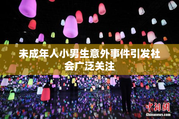 未成年人小男生意外事件引发社会广泛关注