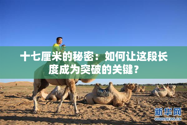 十七厘米的秘密：如何让这段长度成为突破的关键？