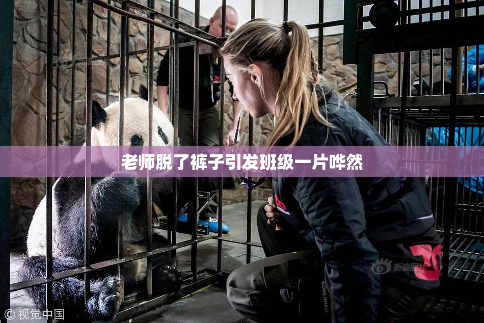 老师脱了裤子引发班级一片哗然