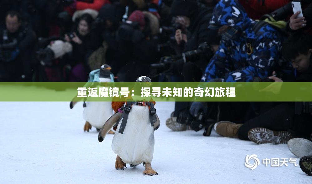 重返魔镜号：探寻未知的奇幻旅程