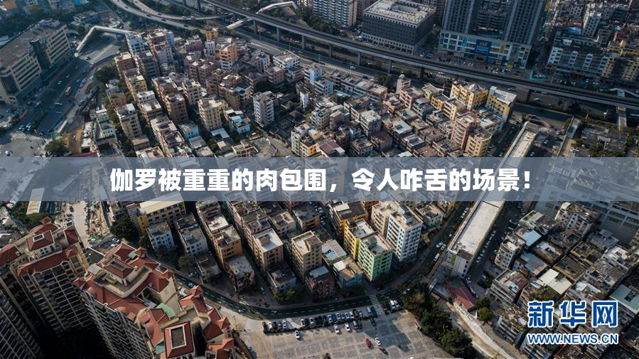 伽罗被重重的肉包围，令人咋舌的场景！