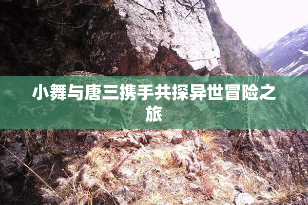 小舞与唐三携手共探异世冒险之旅