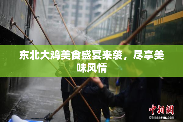 东北大鸡美食盛宴来袭，尽享美味风情