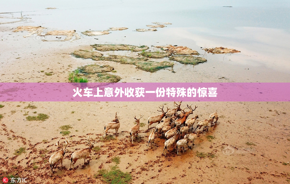 火车上意外收获一份特殊的惊喜