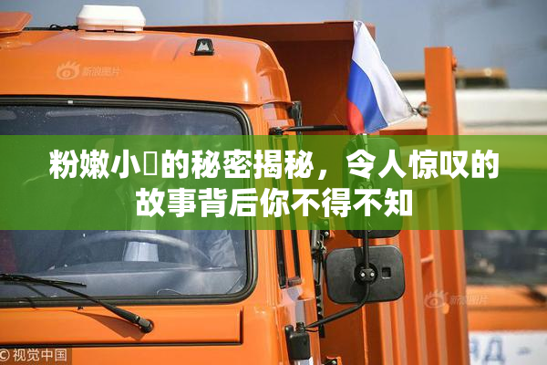 粉嫩小泬的秘密揭秘，令人惊叹的故事背后你不得不知