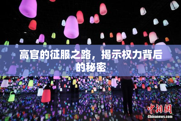 高官的征服之路，揭示权力背后的秘密