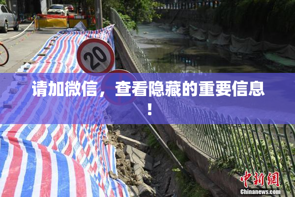 请加微信，查看隐藏的重要信息！