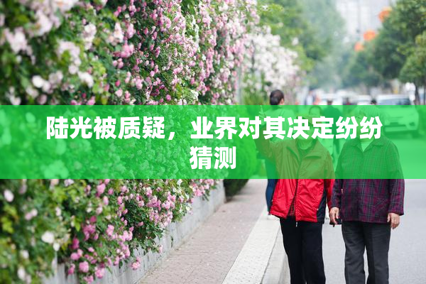 陆光被质疑，业界对其决定纷纷猜测
