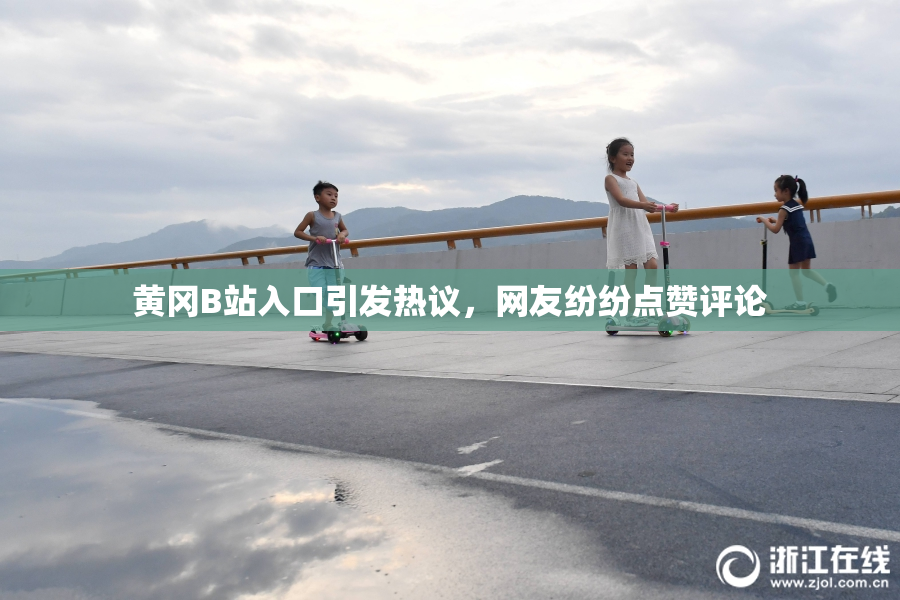 黄冈B站入口引发热议，网友纷纷点赞评论