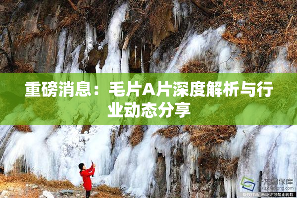 重磅消息：毛片A片深度解析与行业动态分享