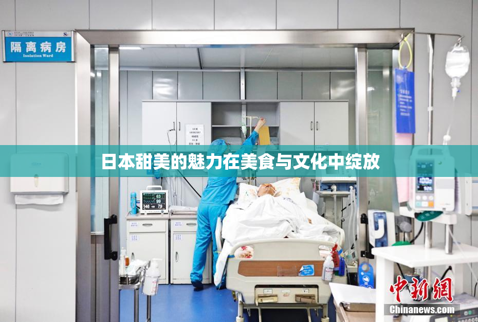 日本甜美的魅力在美食与文化中绽放