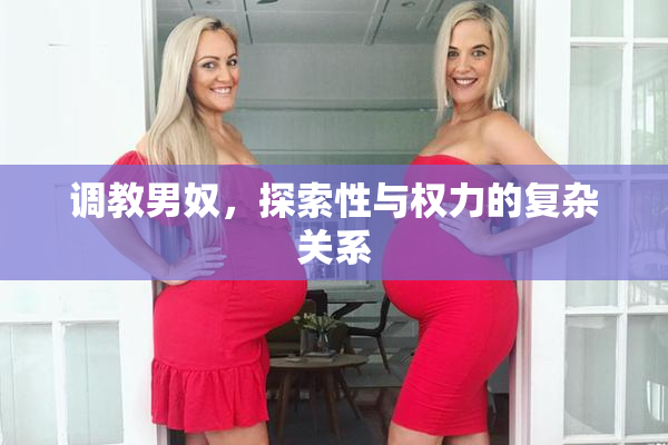 调教男奴，探索性与权力的复杂关系