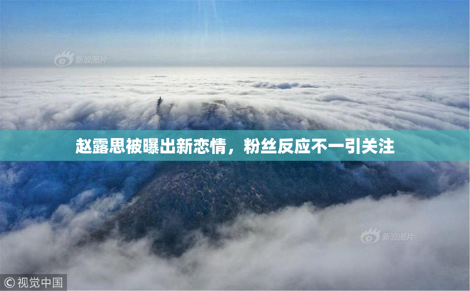 赵露思被曝出新恋情，粉丝反应不一引关注