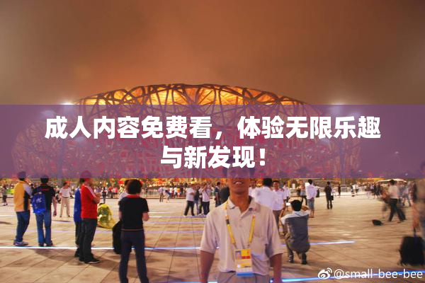 成人内容免费看，体验无限乐趣与新发现！