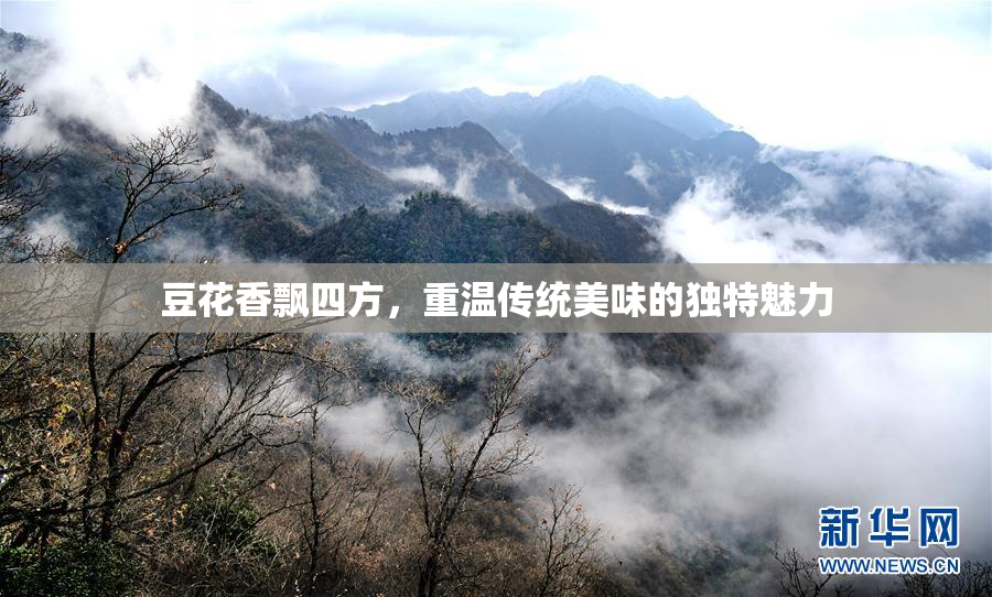 豆花香飘四方，重温传统美味的独特魅力