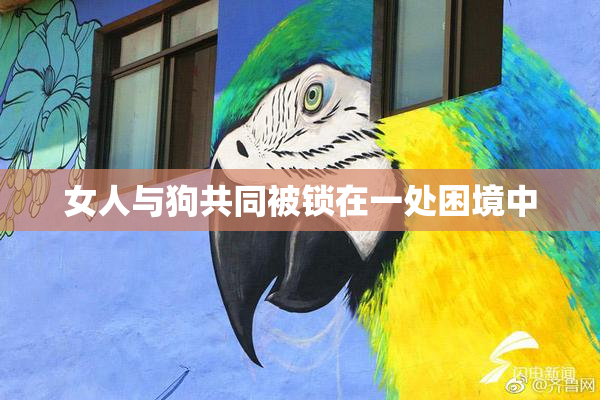 女人与狗共同被锁在一处困境中