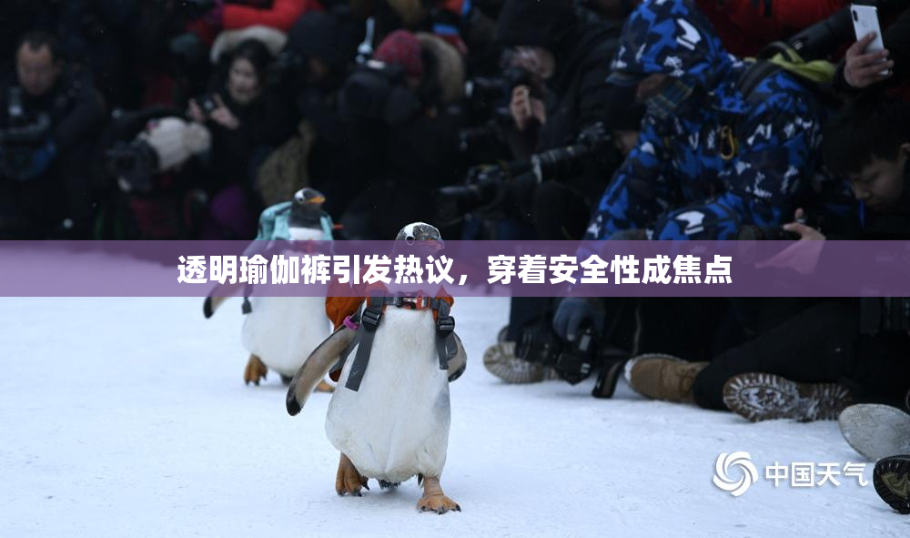 透明瑜伽裤引发热议，穿着安全性成焦点