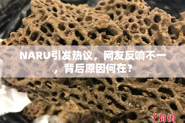 NARU引发热议，网友反响不一，背后原因何在？