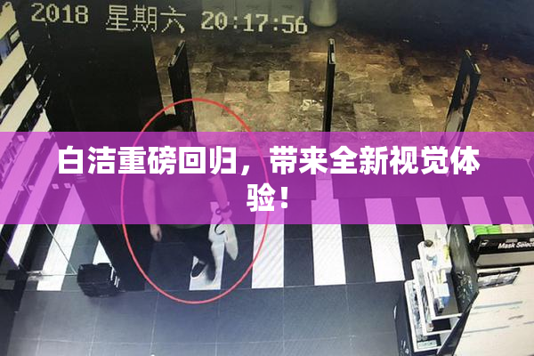 白洁重磅回归，带来全新视觉体验！