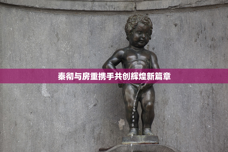秦彻与房重携手共创辉煌新篇章