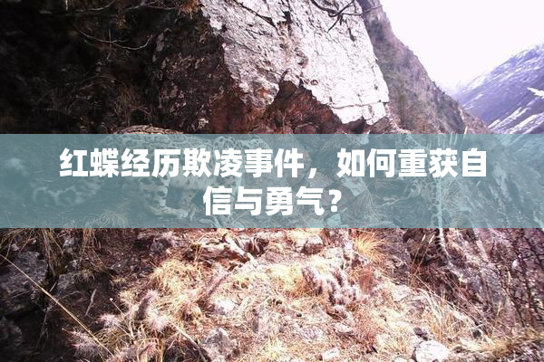 红蝶经历欺凌事件，如何重获自信与勇气？
