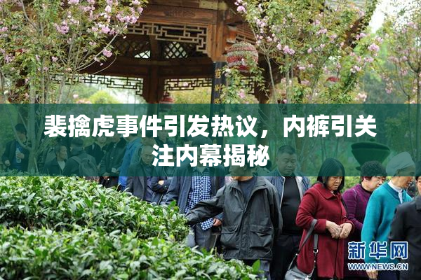 裴擒虎事件引发热议，内裤引关注内幕揭秘