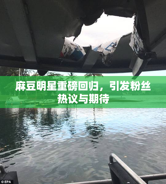 麻豆明星重磅回归，引发粉丝热议与期待